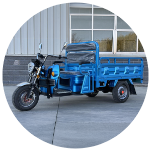 Triporteur électrique SCHOT-Mob 1200 PRO – HOMOLOGUÉ ROUTE